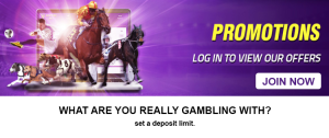 WinnersBet Join Now